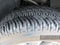 2024 Chevrolet Silverado 1500 2WD Crew Cab Short Bed LT