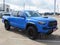 2019 Toyota Tacoma TRD Pro